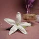 CrochetLilyWhite__Artecasa