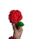 RedCrochetRose__Artecasa