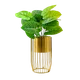Gold__Fertilgro