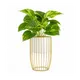 White__Fertilgro