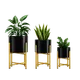 Black__Fertilgro