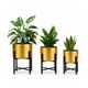 Gold__Fertilgro