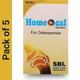 (Pack Of 5)__WELLHEAL
