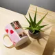 Multicolor__CrafyDesign