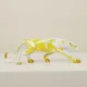 Yellow & White__TRENDHUTZ