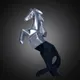 Silver & Black__TRENDHUTZ