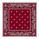 Maroon__SATKARTAR ENTERPRISES