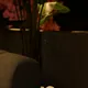 Cream Beige__Unika Objects