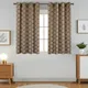 Brown__HOMEWAY TEX