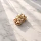 Champagne__Waza