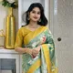 Pista__Shagun sari