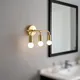 Golden__ZENON INTERNATIONAL