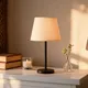 Beige__ZENON INTERNATIONAL