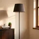 Black__ZENON INTERNATIONAL
