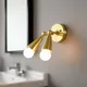 Golden__ZENON INTERNATIONAL