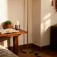 Golden__ZENON INTERNATIONAL