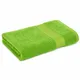 Green__SKIER EXPORT AND IMPORT PRIVATE LIMITED