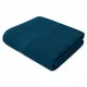 Teal Blue__SKIER EXPORT AND IMPORT PRIVATE LIMITED