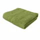 Green__SKIER EXPORT AND IMPORT PRIVATE LIMITED