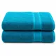 Sky Blue__SKIER EXPORT AND IMPORT PRIVATE LIMITED