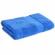 Blue__SKIER EXPORT AND IMPORT PRIVATE LIMITED