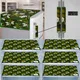 Green__Kavarom