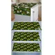 Green__Kavarom