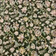 Olive Green__Siri Kamilini