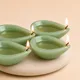 Light Green__Shivkosha