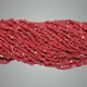 Coral__BeadSourceIndia