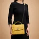 Yellow__CROCOI