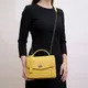 Yellow__CROCOI