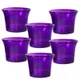 Purple__Dauji Enterprise