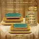 Multicolour__AARADHYA SHRINGAR