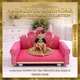 Multicolour__AARADHYA SHRINGAR