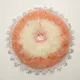 Multicolour__AARADHYA SHRINGAR