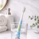 White__Pickli India