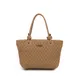 Beige__AAHANA FASHIONS
