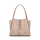 Beige__AAHANA FASHIONS