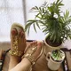 GOLDEN__Elegant