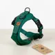 Dark Green__Pawshala