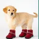 Red__Pawshala