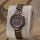 Brown__VIRAKTI