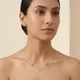 Multicolor__Ameeba