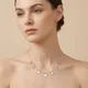 Silver__Ameeba