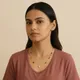 Multicolor__Ameeba