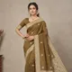 Antique Gold__Vaishagri - The Fashion Edits