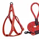 Red__Petrends
