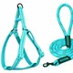 Turquoise Blue__Petrends