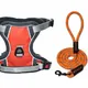 Orange__Petrends